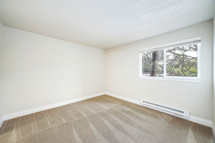 Bright and airy room with plush carpeting and a large window offering peaceful views of nature.