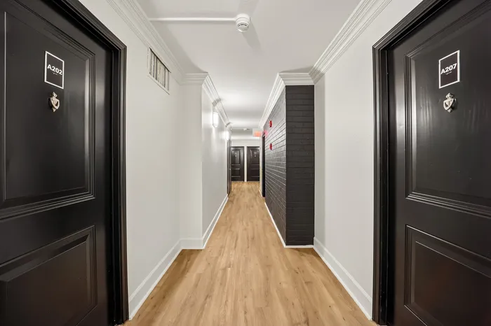 Modern apartment hallway with elegant dark wood doors, sleek lighting, and pristine white walls, showcasing a welcoming and upscale environment.