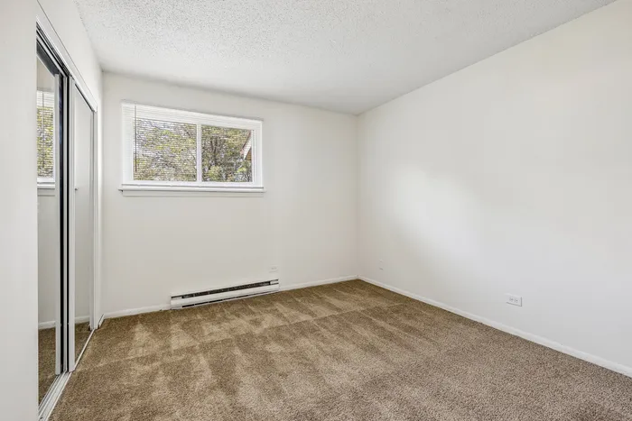 Bright and inviting unfurnished bedroom features plush carpeting, a wide window with natural light, and a sleek mirrored closet door.