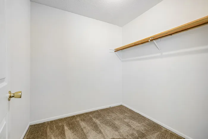 Spacious walk-in closet with plush carpeting and ample hanging space, perfect for stylish storage solutions.