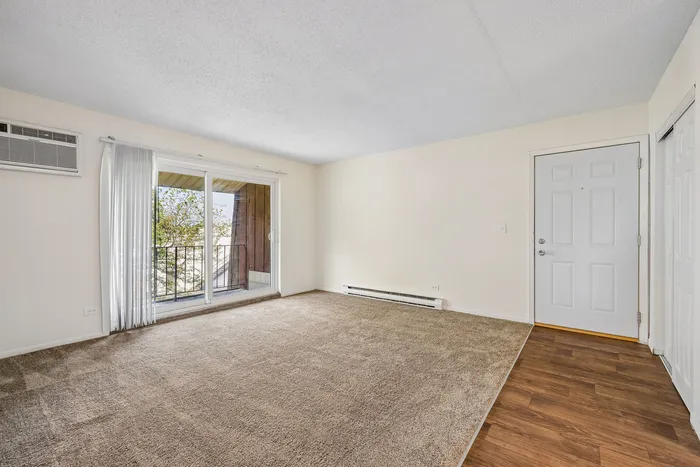 Bright and airy living room with plush carpet, sliding glass doors leading to a balcony, and sleek hardwood flooring entry.