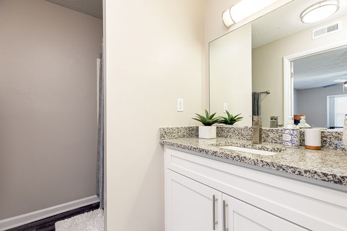 Elegant bathroom with granite countertop, large mirror, and modern lighting, featuring sleek cabinetry and decorative plants for a fresh touch.