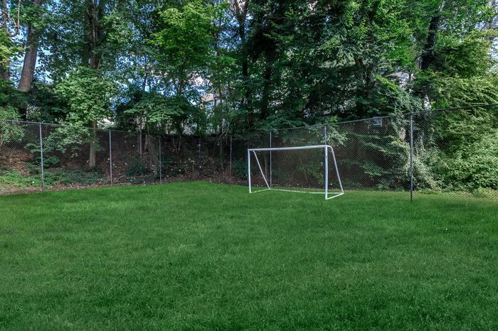 Spacious green yard with a soccer goal surrounded by lush trees, perfect for outdoor activities.