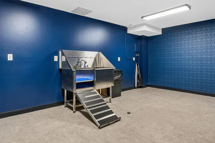 Modern pet washing station featuring sleek stainless steel sink and ramp in a vibrant blue room.