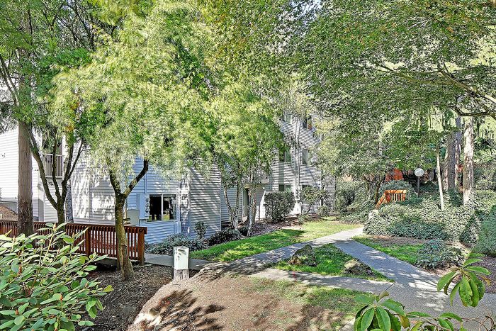 ReNew Northline (Northline Apartments) - Lush Greenery