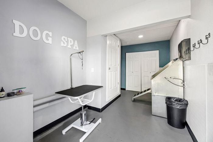 ReNew Northline (Northline Apartments) - Dog Spa Area