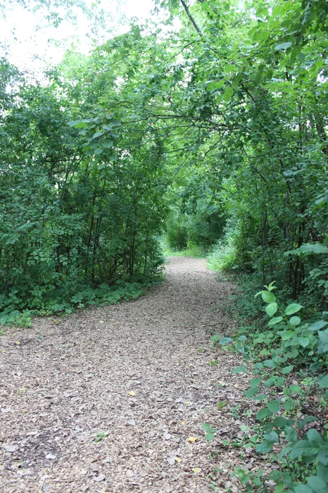 Walking trails at Arbor Lakes Apartments in Middleton, Wisconsin, designed for outdoor recreation.