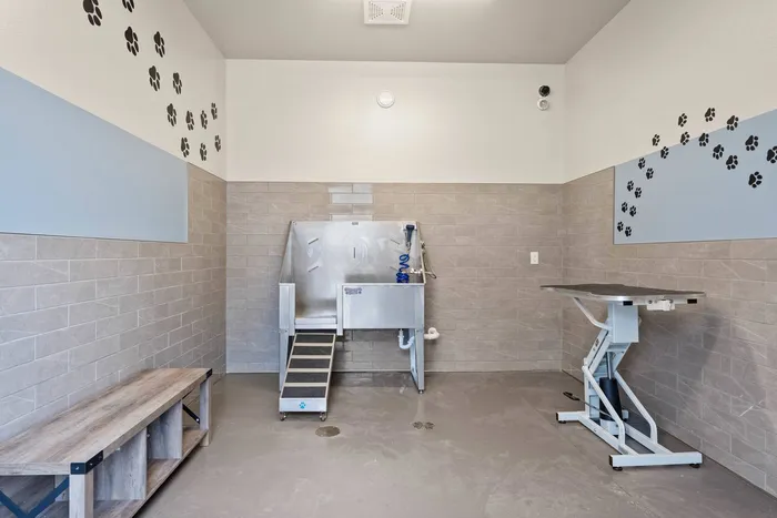 Pet spa at The 85 at Maple Grove designed for convenient pet care in Madison, Wisconsin.