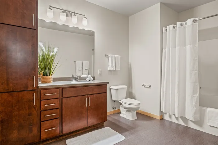 Bathroom at Elan Apartments in Fitchburg, Wisconsin featuring modern fixtures and finishes.