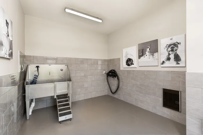 On-site pet spa and grooming area at Apex at Verona apartments in Verona, WI