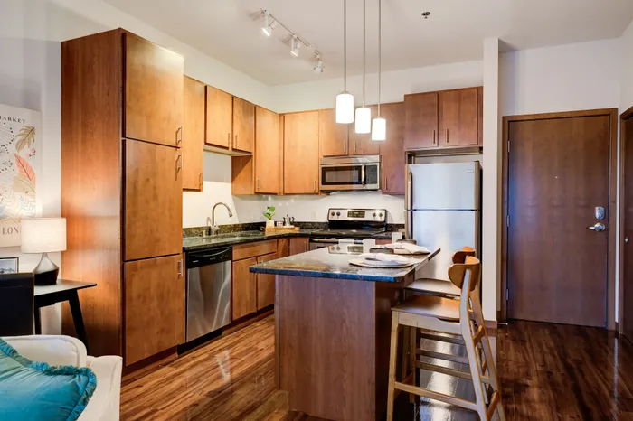 Apartment kitchen at Domain Apartments in Downtown Madison, Wisconsin featuring modern finishes and open layouts.