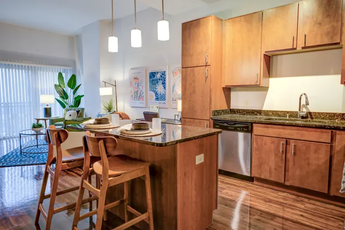 Apartment kitchen at Domain Apartments in Downtown Madison, Wisconsin featuring modern finishes and open layouts.