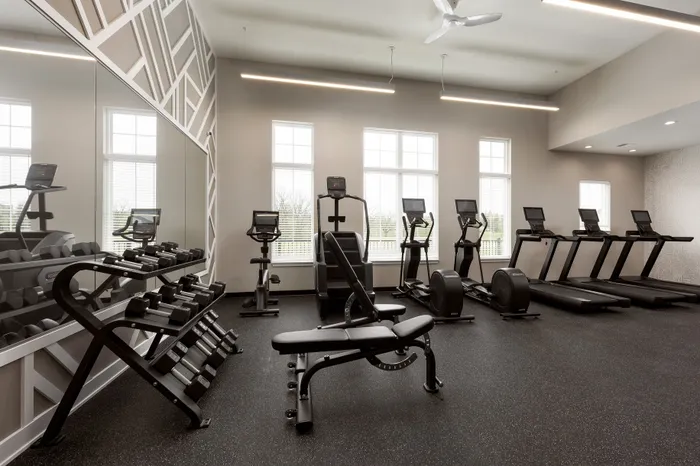 Modern fitness center with workout equipment at Terrapin Run apartments.