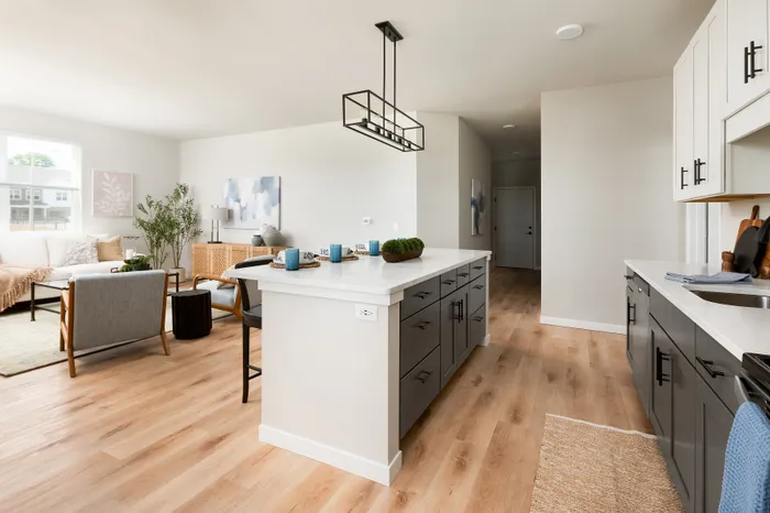 Modern kitchen with stainless steel appliances in a Terrapin Run stacked flat.