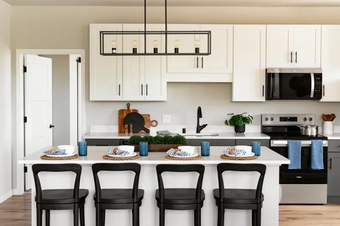 Modern kitchen with stainless steel appliances in a Terrapin Run stacked flat.