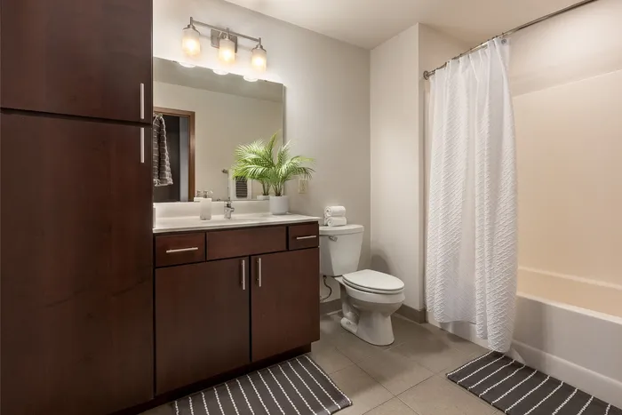 Apartment bathroom at Domain Apartments in Downtown Madison, Wisconsin.