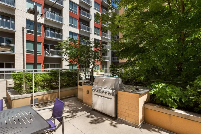 Outdoor grilling stations at Domain Apartments in Downtown Madison, Wisconsin.