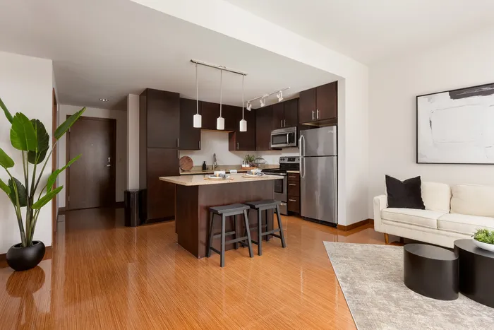 Modern apartment kitchen at Domain Apartments in Downtown Madison, Wisconsin.