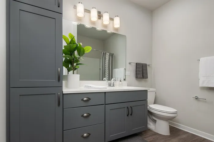 Bathroom at Seasons at North Aurora Apartments.