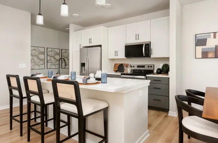 Seasons at Spring Street apartment kitchen