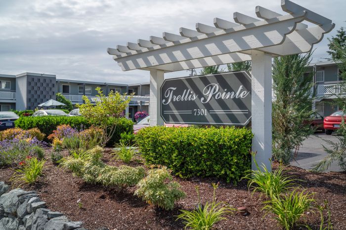 Explore Trellis Pointe Apartments