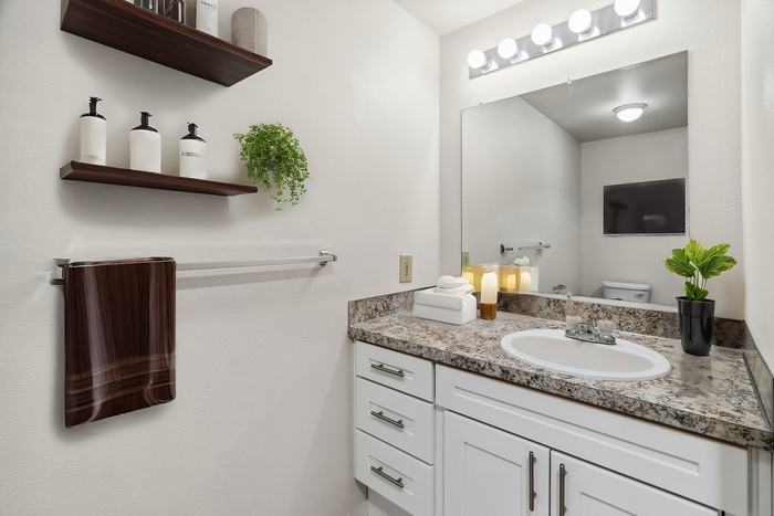 Contemporary bathroom with a stylish vanity, illuminated mirror, and decorative greenery.