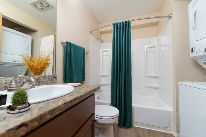 Modern bathroom with elegant granite countertop, lush greenery, and in-unit washer-dryer.