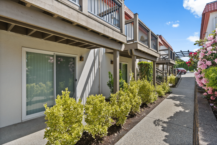 Charming apartment exterior with lush greenery, modern balcony design, and sunlit walkway under a clear blue sky.