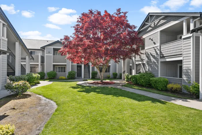 Apartment complex courtyard with lush greenery and vibrant red maple tree, perfect for serene living.