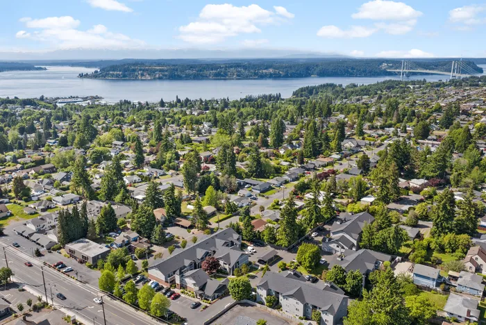Scenic aerial view of a picturesque neighborhood with lush greenery, overlooking a serene body of water and distant mountains.