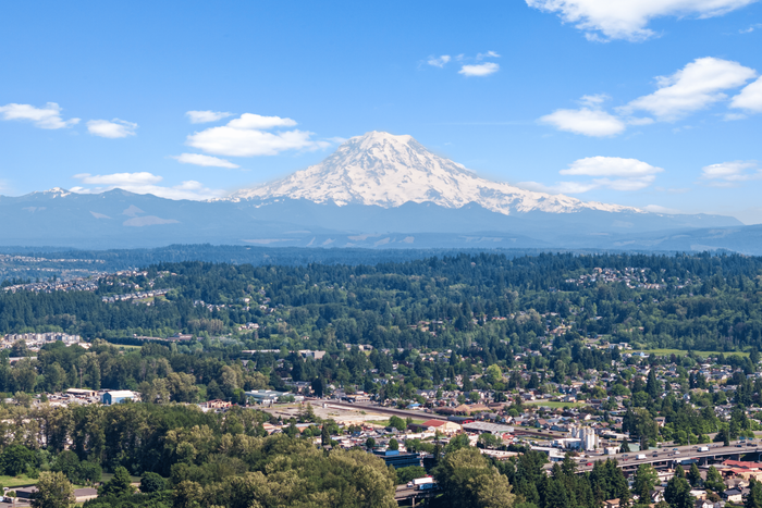 Breathtaking panoramic view of a lush valley with a majestic snow-capped mountain under a clear blue sky.