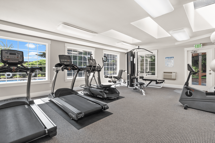 Bright apartment gym with modern cardio equipment, large windows, and scenic outdoor views.