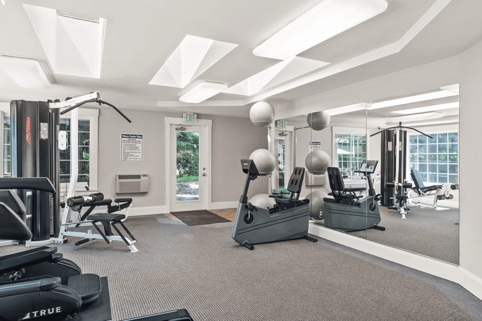 Bright and spacious fitness center equipped with modern exercise machines and wall mirrors, offering a refreshing view through large windows.