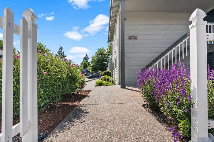 Inviting pathway with vibrant purple flowers leading to a charming building entrance under a bright blue sky.