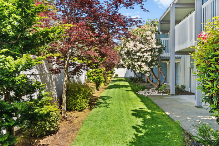 Charming apartment exterior with lush green lawn, vibrant trees, and modern balconies, offering a serene and picturesque living environment.