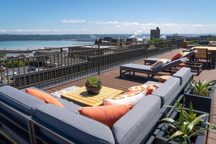 Chic rooftop terrace with panoramic water views, stylish seating, and vibrant green plants under a clear blue sky.