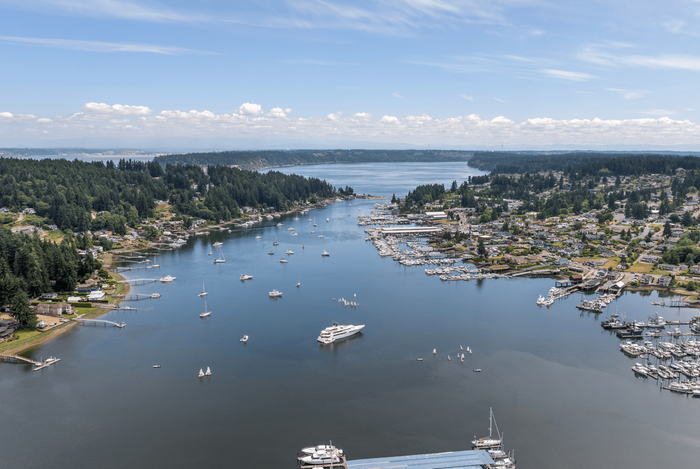 Breathtaking aerial view of a serene waterfront community featuring lush greenery, sailboats, and a vibrant marina under a clear blue sky.