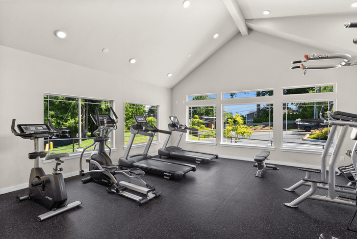 Modern fitness center featuring state-of-the-art cardio machines, bright and airy with large windows and natural light.