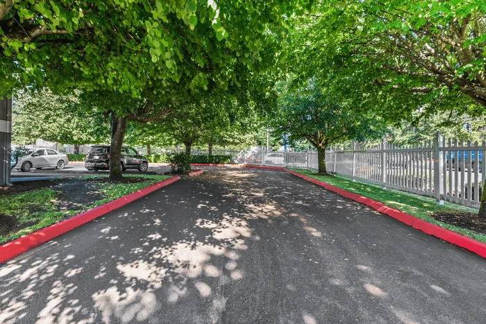 Charming parking area surrounded by lush greenery and vibrant trees, offering serene and shaded spots for vehicles.