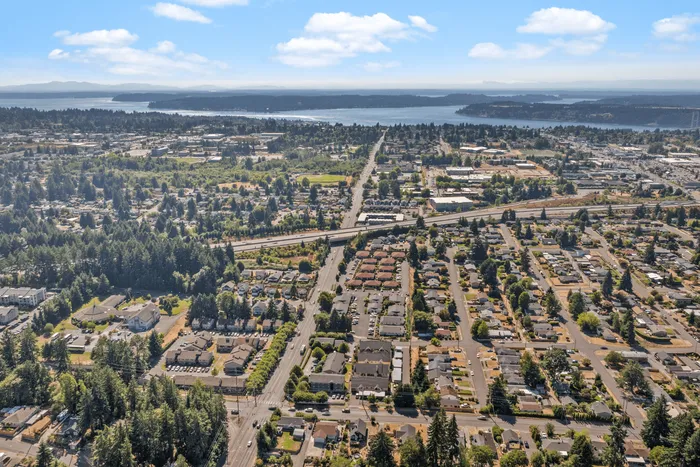 Breathtaking aerial view of a vibrant, scenic urban landscape with lush greenery, residential neighborhoods, and distant water views under a bright blue sky.