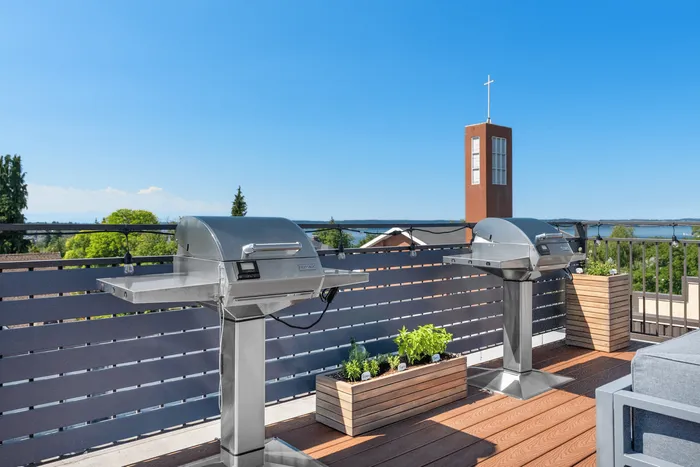 Charming rooftop terrace with modern grills, lush greenery, and stunning views.
