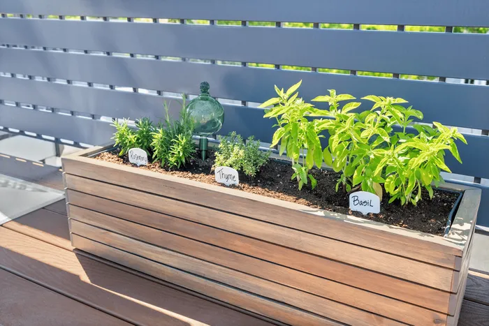 Chic planter box on a sunny balcony featuring lush rosemary, thyme, and basil, adding a touch of homegrown greenery to outdoor living.