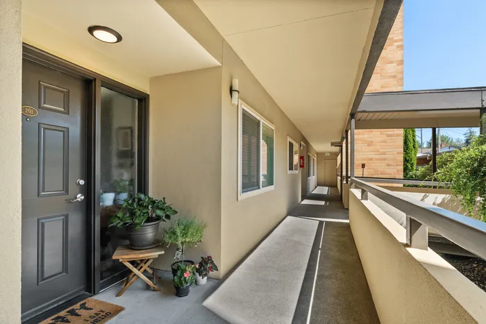 Inviting apartment exterior with modern black door, lush plants, and sunlit corridor creating a welcoming ambiance.