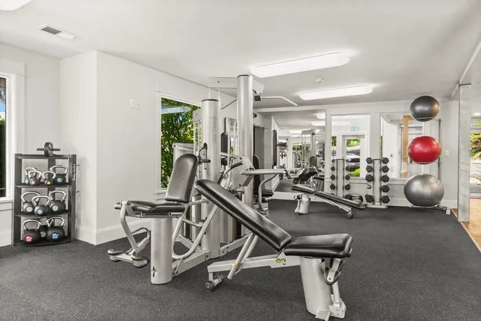 Modern fitness center with sleek exercise machines, free weights, and vibrant fitness balls in a well-lit, open space.