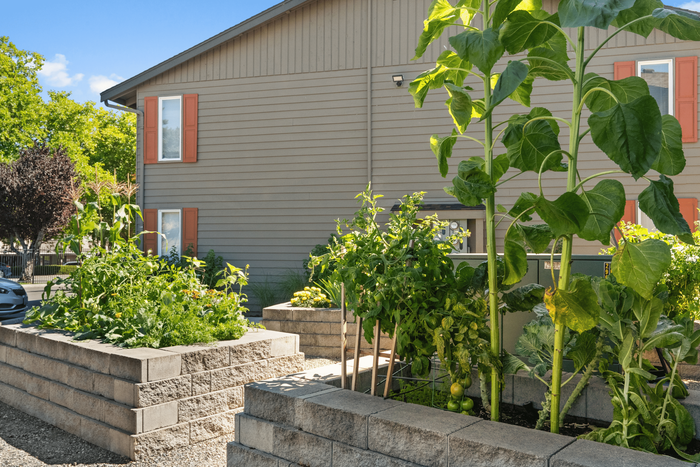 Charming home exterior with lush raised garden beds, vibrant plants, and welcoming atmosphere.
