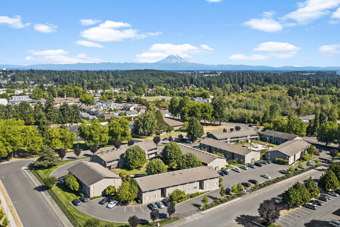 Breathtaking aerial view of a residential community surrounded by lush greenery and scenic mountain vistas.