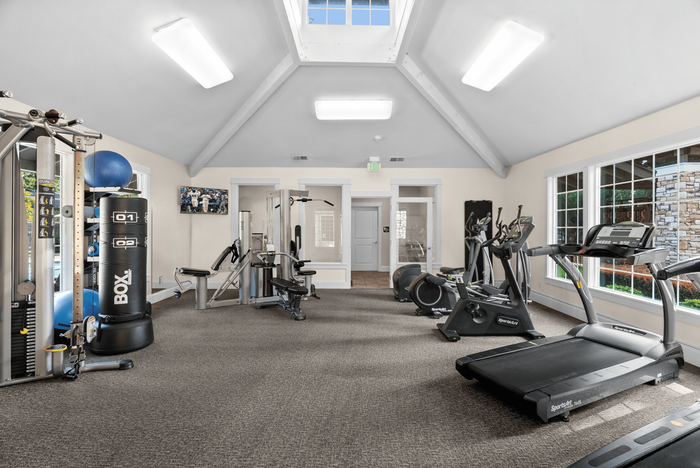 Bright and spacious apartment gym with state-of-the-art fitness equipment, large windows, and serene views.