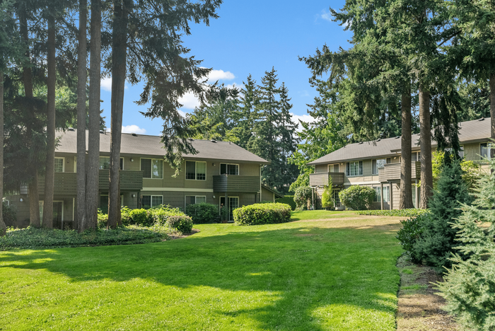 Apartment buildings surrounded by tall evergreens and a well-kept grassy courtyard.