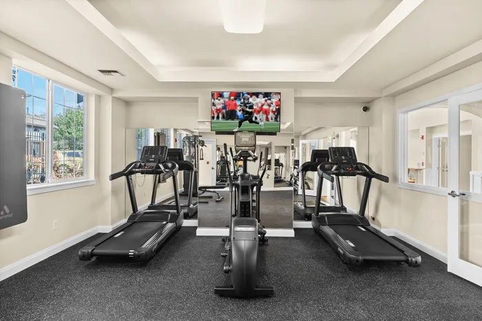 Modern fitness center with state-of-the-art treadmills, elliptical machine, wall-mounted TV, and large windows offering natural light.