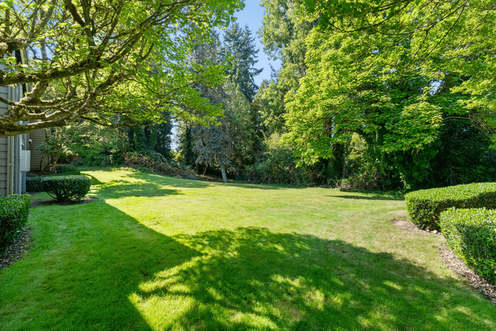 Expansive lush green lawn surrounded by vibrant trees and shrubs, offering a serene outdoor retreat.